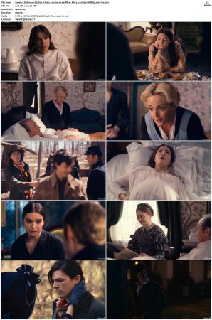 Dickinson S01 S03 SUPER-PACK WEBRip EAC3 5 1 1080p x265-iVy