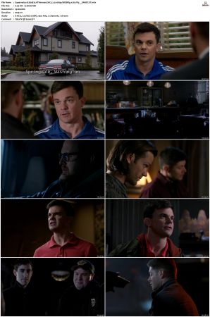 Supernatural S01 S15 WEBRip EAC3 2 0 1080p x265-iVy