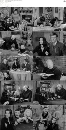 The Addams Family 1964 S01-S02 DVDRip X264-NGP