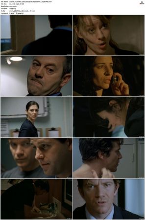 Bodies 2004 S01 S02 WEB-DL HEVC x265 BONE