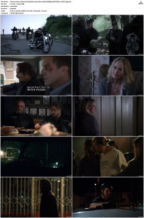Sons of Anarchy S01-S07 SUPER-PACK 1080p WEBRip 10Bit DDP5.1 HEVC-d3g