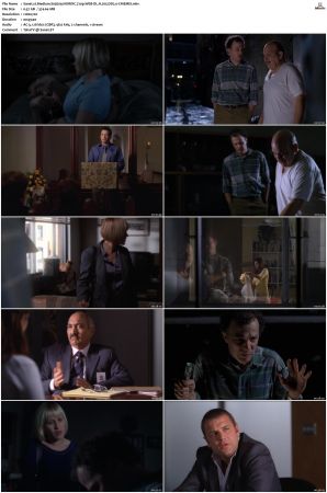 Medium S03 NORDiC 720p WEB-DL H 265 DD2 0-CiNEMiX