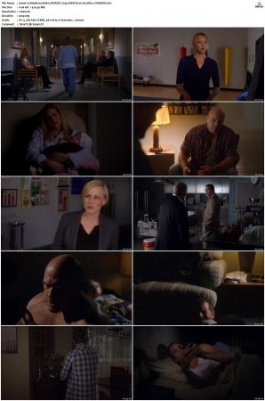 Medium S06 NORDiC 720p WEB-DL H 265 DD5 1-CiNEMiX