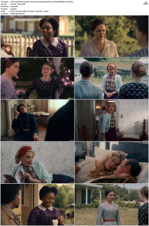 Dickinson S01 S03 SUPER-PACK WEBRip EAC3 5 1 1080p x265-iVy