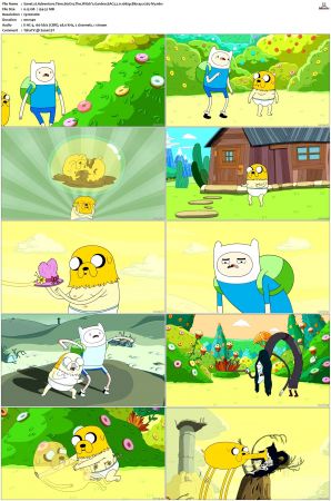 Adventure Time 2008 S01-S10 + Fionna and Cake 1080p Bluray EAC3 2.0 x265-iVy
