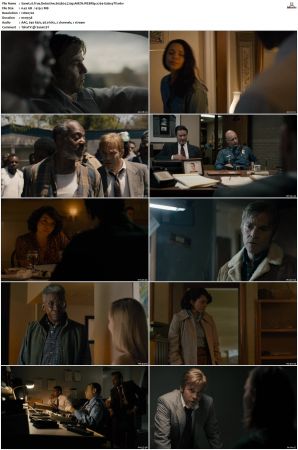 True Detective S01-S04 COMPLETE 720p BluRay x264-GalaxyTV