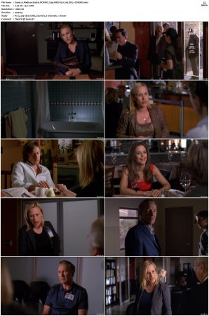 Medium S04 NORDiC 720p WEB-DL H 265 DD5.1-CiNEMiX