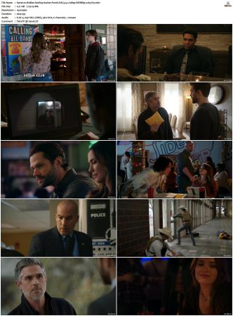 Walker S01 S04 WEBRip EAC3 5 1 1080p x265-iVy