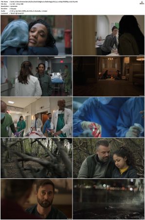New Amsterdam 2018 S01-S05 1080p WEBRip EAC3 5.1 x265-iVy