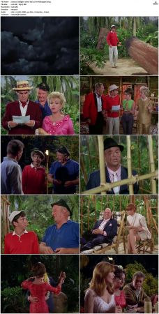 Gilligans Island S01 S03 DVDRip H264-NGP