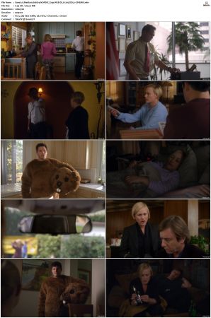 Medium S06 NORDiC 720p WEB-DL H 265 DD5 1-CiNEMiX