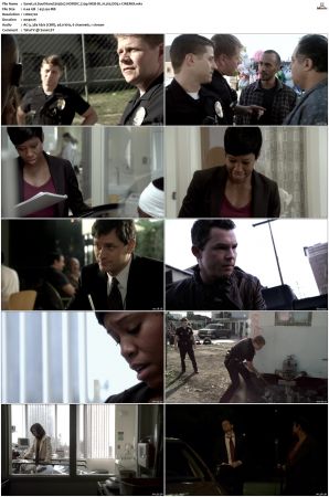 Southland S01 S05 SUPER-PACK NORDiC 720p WEB-DL H 265 DD5 1-CiNEMiX