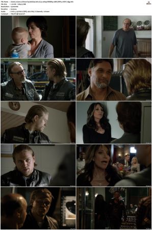 Sons of Anarchy S01-S07 SUPER-PACK 1080p WEBRip 10Bit DDP5.1 HEVC-d3g
