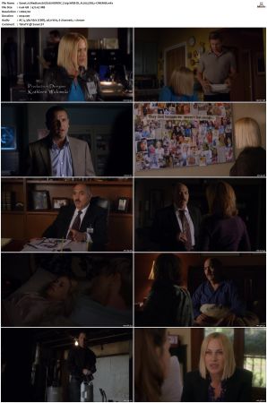 Medium S07 NORDiC 720p WEB-DL H 265 DD5.1-CiNEMiX