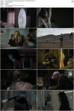 Absentia S01 S03 SUPER-PACK WEBRip EAC3 5 1 1080p x265-iVy