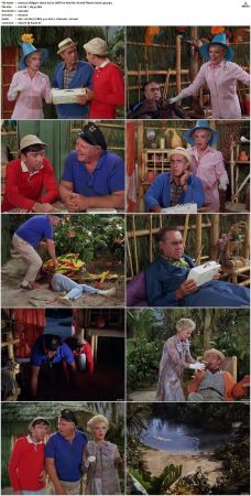 Gilligans Island S01 S03 DVDRip H264-NGP