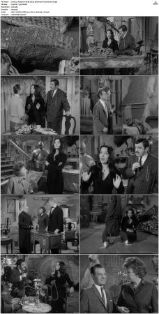 The Addams Family 1964 S01-S02 DVDRip X264-NGP