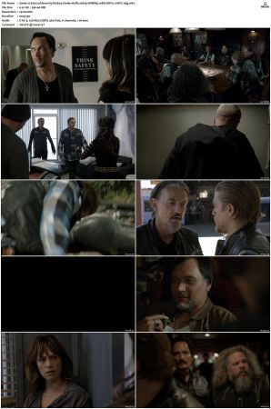 Sons of Anarchy S01-S07 SUPER-PACK 1080p WEBRip 10Bit DDP5.1 HEVC-d3g