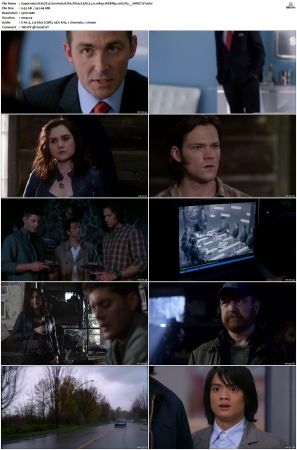 Supernatural S01 S15 WEBRip EAC3 2 0 1080p x265-iVy