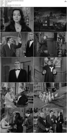 The Addams Family 1964 S01-S02 DVDRip X264-NGP