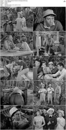 Gilligans Island S01 S03 DVDRip H264-NGP