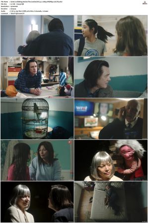 Kidding S01 S02 WEBRip EAC3 5 1 1080p x265-iVy