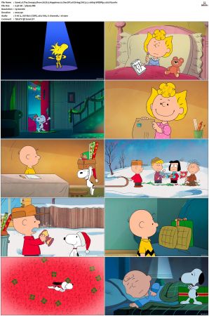 The Snoopy Show S01-S03 1080p WEBRip EAC3 5.1 x265-iVy