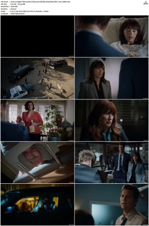 Angie Tribeca S01 S04 SUPER-PACK 1080p Web DDP5 1 HEVC x265-JoeBee