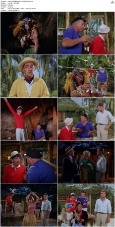 Gilligans Island S01 S03 DVDRip H264-NGP