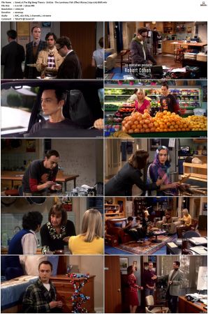 The Big Bang Theory S01 S12 SUPER-PACK Bluray 720p x265-BMF