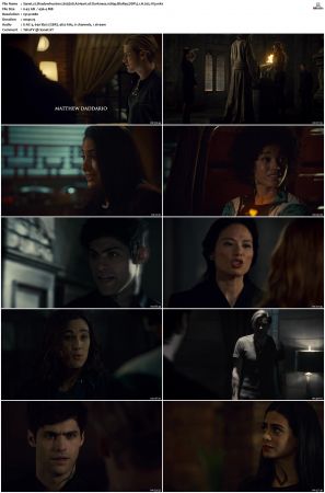 Shadowhunters S01 S03 1080p BluRay DDP 5 1 x265-iVy