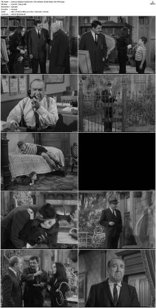 The Addams Family 1964 S01 S02 DVDRip X264-NGP