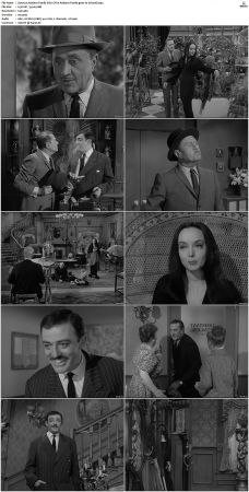 The Addams Family 1964 S01 S02 DVDRip X264-NGP