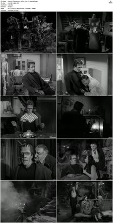 The Munsters 1964 S01 S02 DVDRip MPEG-NGP