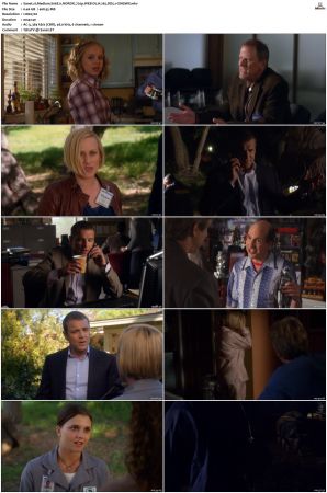 Medium S06 NORDiC 720p WEB-DL H 265 DD5 1-CiNEMiX