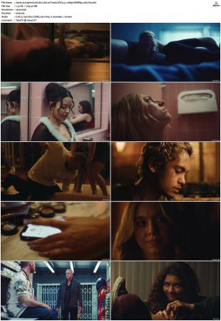 Euphoria S01 S02 WEBRip EAC3 5 1 1080p x265-iVy