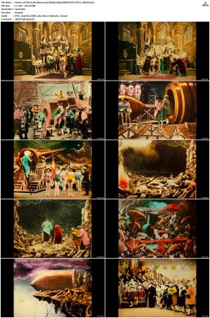 A Trip to the Moon 1902 BluRay 1080p REMUX AVC DTS 5.1-BluHD