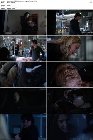 Zoo S01 S03 Bluray-WEB EAC3 5 1 1080p x265-iVy