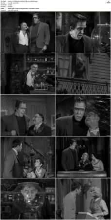 The Munsters 1964 S01 S02 DVDRip MPEG-NGP