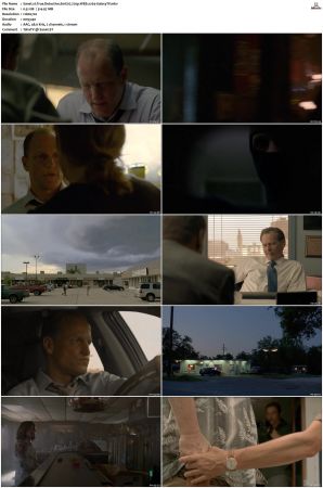True Detective S01-S04 COMPLETE 720p BluRay x264-GalaxyTV