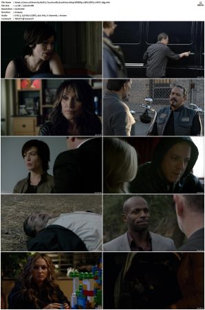 Sons of Anarchy S01-S07 SUPER-PACK 1080p WEBRip 10Bit DDP5.1 HEVC-d3g
