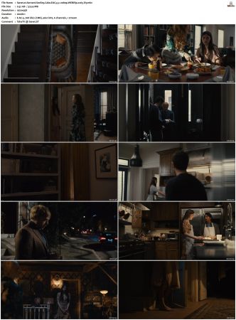 Servant 2019 S01 S04 WEBRip EAC3 5 1 1080p x265-iVy