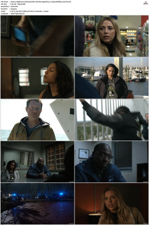 Hightown S01 S03 WEBRip EAC3 5 1 1080p x265-iVy