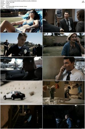 Southland S01 S05 SUPER-PACK NORDiC 720p WEB-DL H 265 DD5 1-CiNEMiX