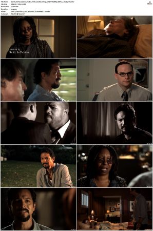 The Cleaner S01 S02 1080p AMZN WEBRip DDP 5 1 x265-iVy