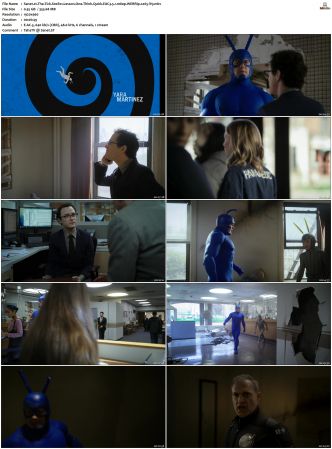 The Tick S01 S02 WEBRip EAC3 5 1 1080p x265-iVy