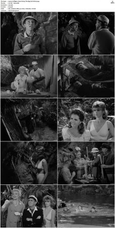 Gilligans Island S01 S03 DVDRip H264-NGP