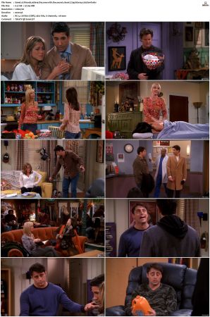Friends S01-S10 SUPER-PACK 720p BluRay x265-BMF