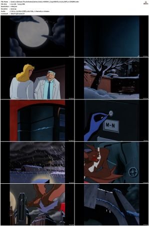 Batman The Animated Series S01-S04 720p WEB-DL H265 DDP2.0-CiNEMiX