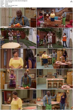 Tyler Perrys Meet the Browns S01 S05 SUPER-PACK DVDRip x264-NGP
